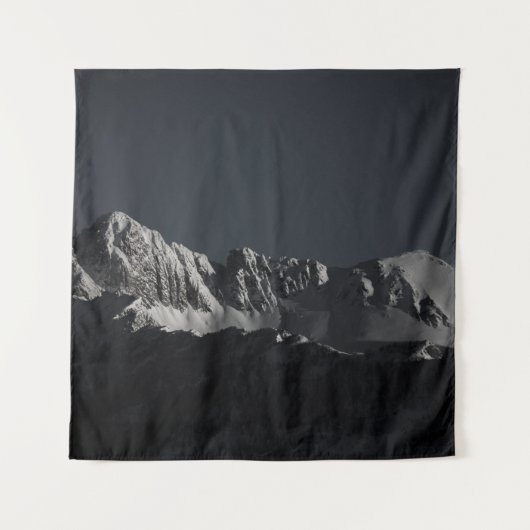 GRAYSCALE FOTOGRAFIE VAN SNEEUWMOUNTAIN WANDKLEED (Voorkant)