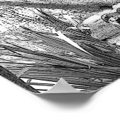 Grayscale het Kleuren Owl Natuur het Kleuren van b Poster (Hoek)