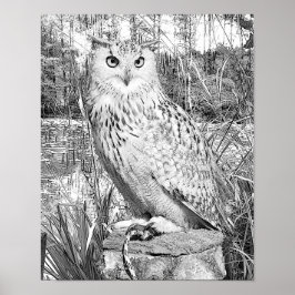 Grayscale het Kleuren Owl Natuur het Kleuren van b Poster