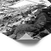 Grayscale  Natuur vrouwen bomen kleuren Poster (Hoek)