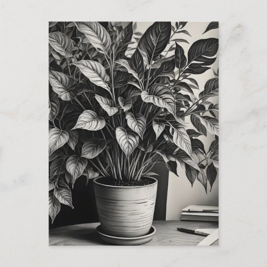Grayscale pot plant met enorme bladeren briefkaart (Voorkant)