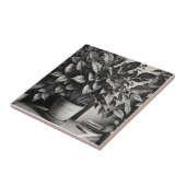 Grayscale pot plant met enorme bladeren tegeltje (Zijkant)