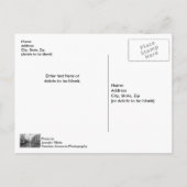 Grayscale van de Chicago River en de Trump Tower Briefkaart (Achterkant)