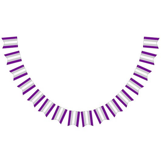 Graysexual Pride Vlag Bunting Banner LGBT Party (Alle)