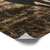 Grayson Highlands State Park Virginia Waterverf Poster (Hoek)