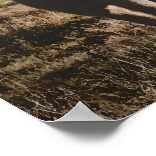 Grayson Highlands State Park Virginia Waterverf Poster (Hoek)