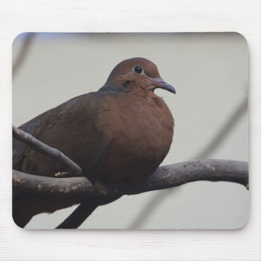 Graysons Dove Muismat (Voorkant)