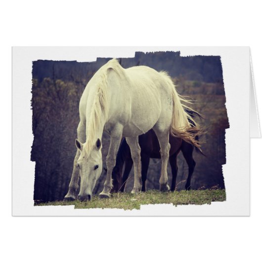 Graze (Voorkant Horizontaal)