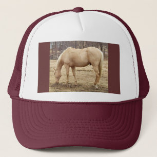 grazend palomino paard trucker pet