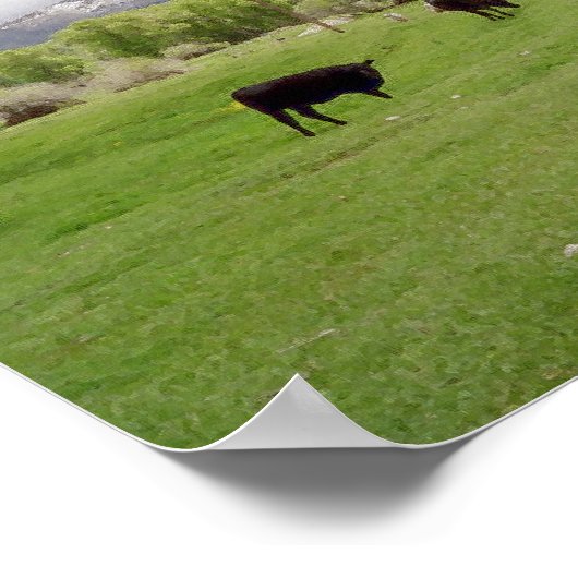 Grazend Vee v2 Poster (Hoek)