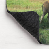Grazende Antilope Muismat (Hoek)