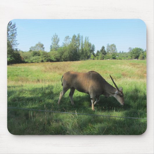Grazende Antilope Muismat (Voorkant)