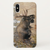 Grazende elandstier Case-Mate iPhone case (Achterkant)
