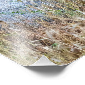 Grazende herten met gewei Foto Afdruk (Hoek)