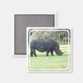 Grazende neushoornmagneet magneet (Voorkant / Achterkant)