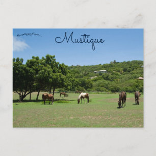 Grazende paarden in Mustique Briefkaart