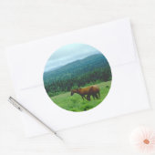 Grazende paarden met bergen achtergrond ronde sticker (Envelop)