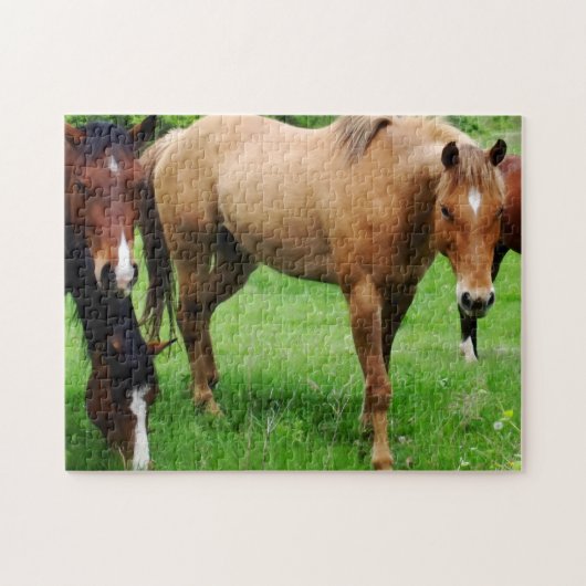 grazende paarden puzzel (Horizontaal)