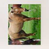 grazende paarden puzzel (Verticaal)