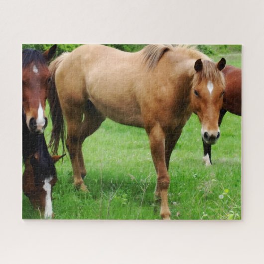 grazende paarden puzzel (Horizontaal)