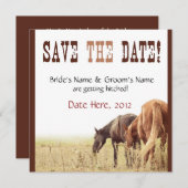 Grazende paarden - Trouwkaart Kaart (Voorkant / Achterkant)