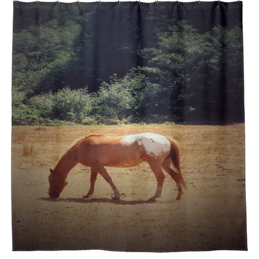 Grazende Palomino.... Douchegordijn (Voorkant)