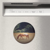 Grazende Palomino.... Magneet (Insitu (Vaatwasser))