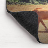 Grazende Palomino.... Muismat (Hoek)