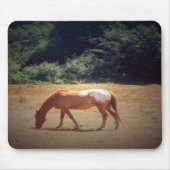 Grazende Palomino.... Muismat (Voorkant)