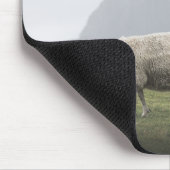 Grazende schapen foto muismat (Hoek)