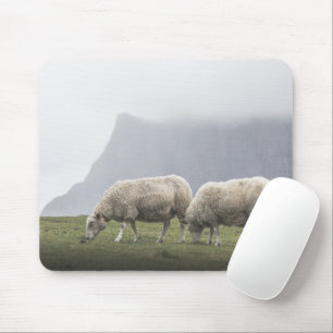 Grazende schapen foto muismat