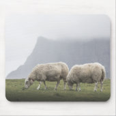 Grazende schapen foto muismat (Voorkant)