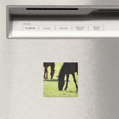 Grazing 2 van paarden magneet (Insitu (Vaatwasser))