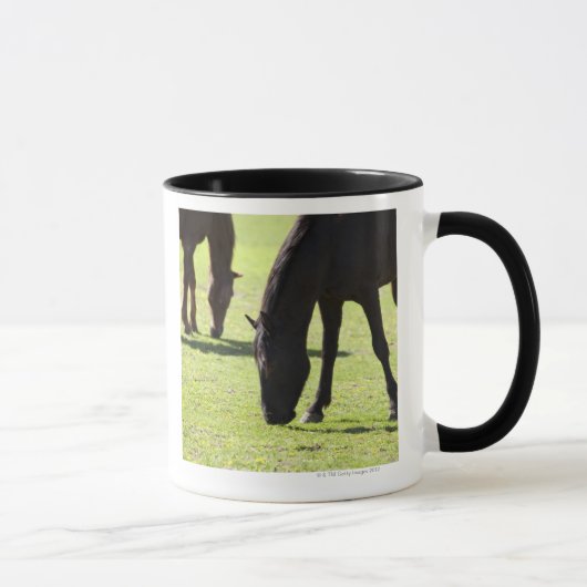 Grazing 2 van paarden mok (Rechts)
