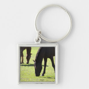 Grazing 2 van paarden sleutelhanger