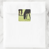 Grazing 2 van paarden vierkante sticker (Tas)