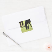 Grazing 2 van paarden vierkante sticker (Envelop)