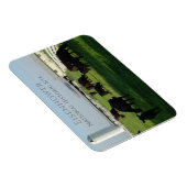 Grazing Angus Cattle, Eisenhower Boerderij, Gettys Magneet (Rechterzijde)