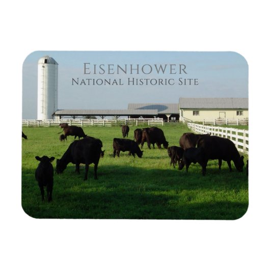 Grazing Angus Cattle, Eisenhower Boerderij, Gettys Magneet (Horizontaal)