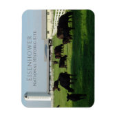 Grazing Angus Cattle, Eisenhower Boerderij, Gettys Magneet (Verticaal)