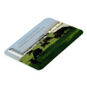 Grazing Angus Cattle, Eisenhower Boerderij, Gettys Magneet (Linkerzijde)