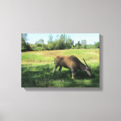 Grazing Antelope Canvas Afdruk (Voorkant)