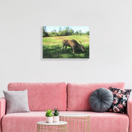 Grazing Antelope Canvas Afdruk (Insitu (Woonkamer))