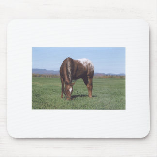 Grazing Appaloosa Muismat