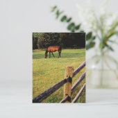 Grazing Bay Briefkaart (Staand voorkant)