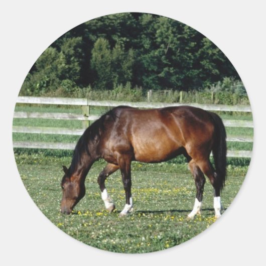 Grazing Bay met witte sockets Ronde Sticker (Voorkant)