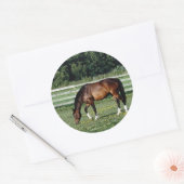 Grazing Bay met witte sockets Ronde Sticker (Envelop)