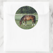 Grazing Bay met witte sockets Ronde Sticker (Tas)