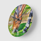 Grazing Bay Pony Equine Photo Paardenliefhebbers Ronde Klok (Hoek)