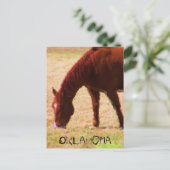 Grazing Briefkaart (Staand voorkant)